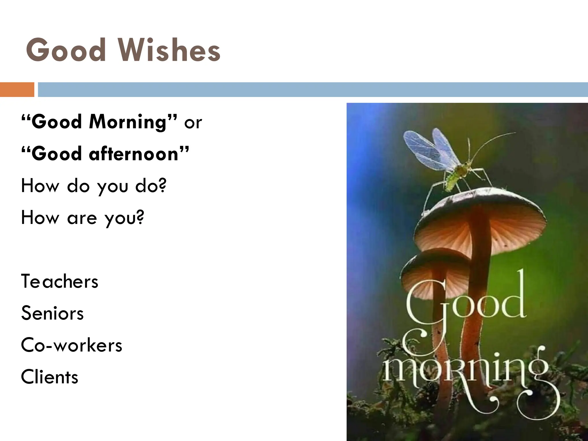 Good Wishes
“Good Morning” or
“Good afternoon”
How do you do?
How are you?
Teachers
Seniors
Co-workers
Clients
 