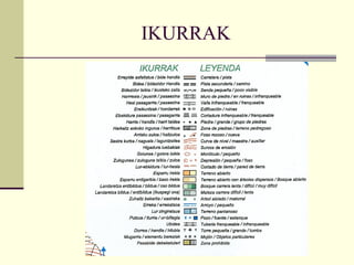 IKURRAK 