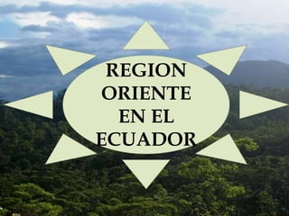 REGION
ORIENTE
EN EL
ECUADOR

 