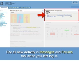See all new activity in Messages and Forums
          tool since your last log in.
 