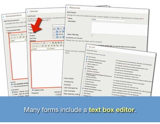 Many forms include a text box editor.
 