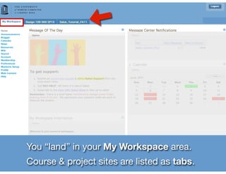 You “land” in your My Workspace area.
Course & project sites are listed as tabs.
 