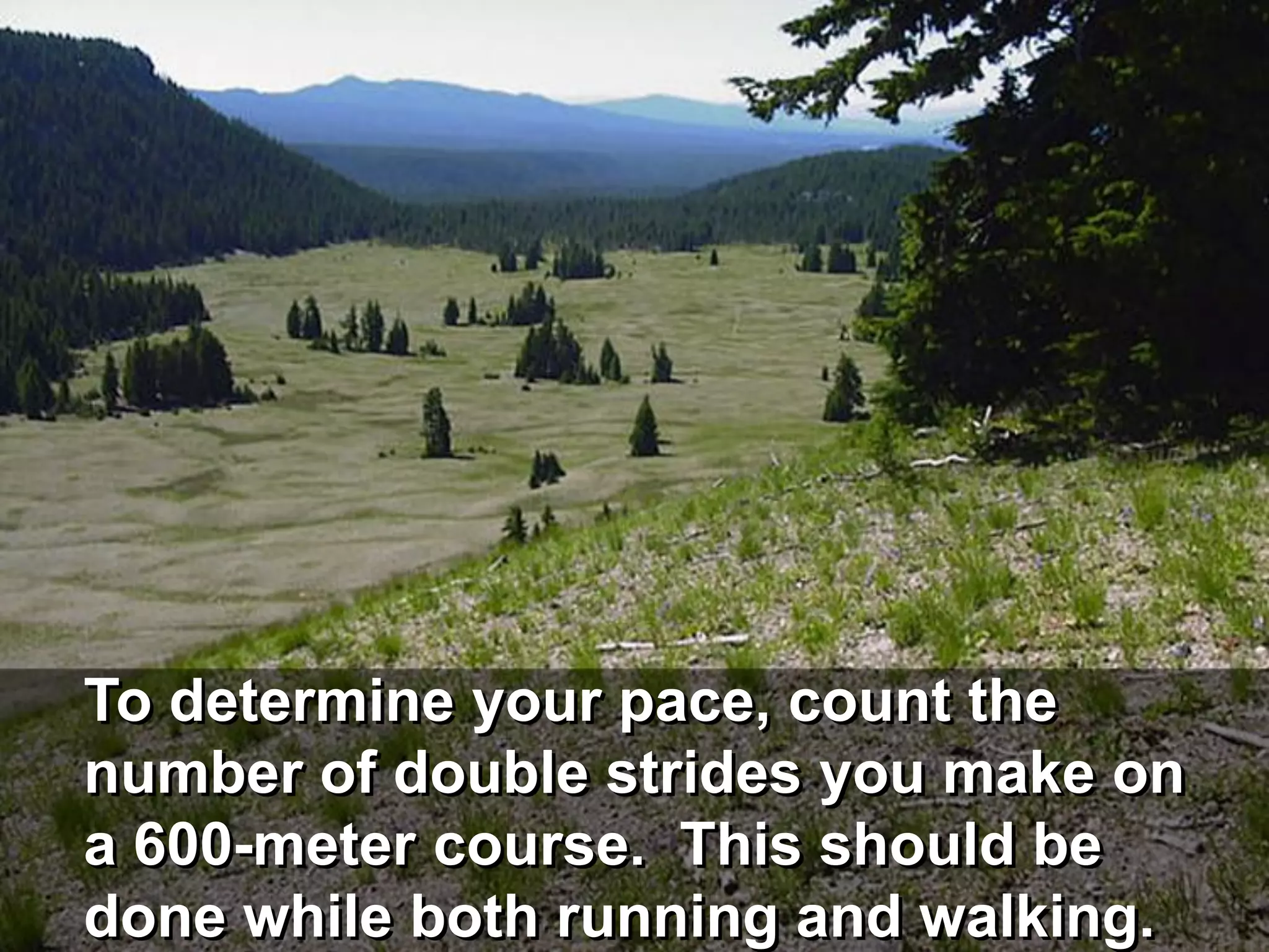 To determine your pace, count the
number of double strides you make on
a 600-meter course. This should be
done while both running and walking.
 