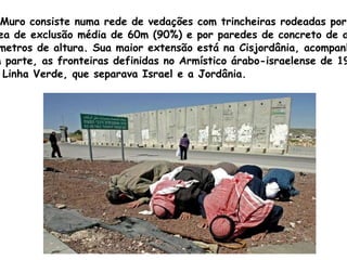 O Muro consiste numa rede de vedações com trincheiras rodeadas por uma  área de exclusão média de 60m (90%) e por paredes de concreto de até  8 metros de altura. Sua maior extensão está na Cisjordânia, acompanhando,  em parte, as fronteiras definidas no Armístico árabo-israelense de 1949  ou Linha Verde, que separava Israel e a Jordânia. 