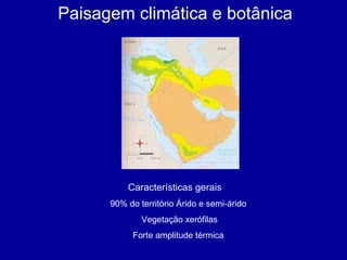 Paisagem climática e botânica Características gerais 90% do território Árido e semi-árido Vegetação xerófilas Forte amplitude térmica 