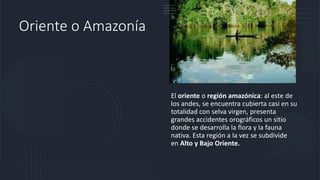 Oriente o Amazonía
El oriente o región amazónica: al este de
los andes, se encuentra cubierta casi en su
totalidad con selva virgen, presenta
grandes accidentes orográficos un sitio
donde se desarrolla la flora y la fauna
nativa. Esta región a la vez se subdivide
en Alto y Bajo Oriente.
 