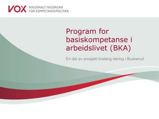 Program for basiskompetanse i arbeidslivet (BKA) En del av prosjekt livslang læring i Buskerud 