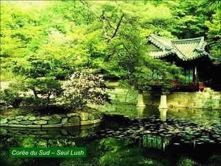 Corée du Sud – Seul Lush
 