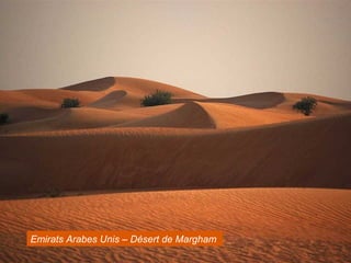 Emirats Arabes Unis – Désert de Margham
 
