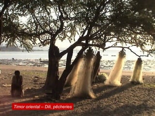 Timor oriental – Dili, pêcheries
 
