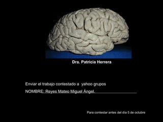 Dra. Patricia Herrera




Enviar el trabajo contestado a yahoo grupos
NOMBRE: Reyes Mateo Miguel Ángel.




                                Para contestar antes del día 5 de octubre
 
