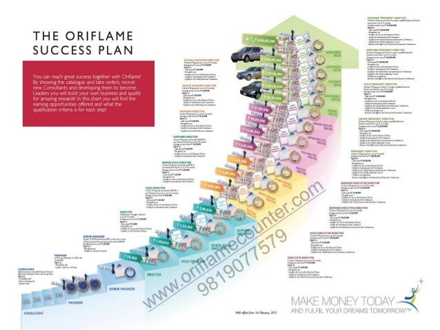 Oriflame application picture