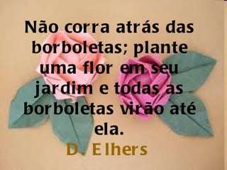 Não corra atrás das borboletas; plante uma flor em seu jardim e todas as borboletas virão até ela. D.  Elhers   