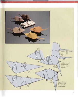 Origami 30 fold-by-fold projects