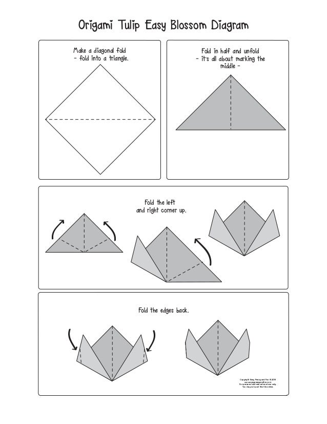 Origami tulippapersizesanddiagram