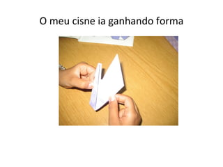 O meu cisne ia ganhando forma 