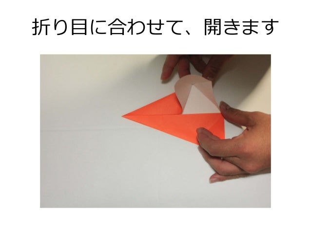 インコの折り方 おりがみ Origami True Parrots