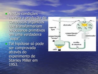Nestas condições haveria a produção de compostos orgânicos que transformariam os oceanos primitivos em uma verdadeira “sopa”. Tal hipótese só pode ser comprovada através do experimento de Stanley Miller em 1953. 