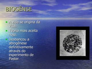 BIOGÊNSE A vida se origina da vida. Teoria mais aceita hoje. Desbancou a abiogênese definitivamente através do experimento de Paster 