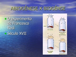 ABIOGÊNESE X BIOGÊNSE O experimento de Francesco Redi Século XVII 