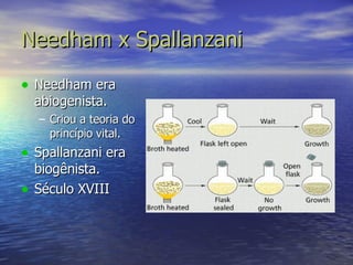 Needham x Spallanzani Needham era abiogenista. Criou a teoria do princípio vital. Spallanzani era biogênista. Século XVIII 