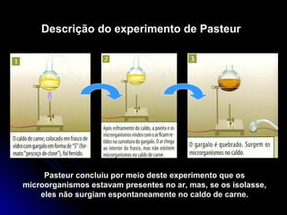Descrição do experimento de Pasteur
Pasteur concluiu por meio deste experimento que os
microorganismos estavam presentes no ar, mas, se os isolasse,
eles não surgiam espontaneamente no caldo de carne.
 