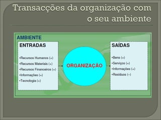 Origem da administração