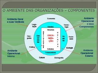 Origem da administração