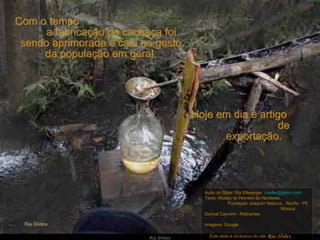 Com o tempo
      a fabricação da cachaça foi
 sendo aprimorada e caiu no gosto
     da população em geral.




                                       Hoje em dia é artigo
                                                          de
                                             exportação.




                                         Autor do Slide: Ria Ellwanger riaellw@globo.com
                                         Texto: Museu do Homem do Nordeste,
                                                     Fundação Joaquim Nabuco, Recife - PE
                                                                               Música:
                                         Dorival Caymmi - Retirantes

                                         Imagens: Google

                          Ria Slides       Este slide é exclusivo do site Ria Slides
 