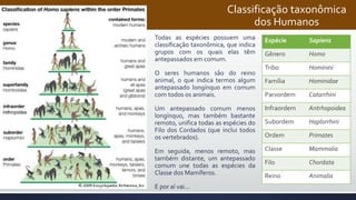 Classificação taxonômica
dos Humanos
Todas as espécies possuem uma
classificação taxonômica, que indica
grupos com os quais elas têm
antepassados em comum.
O seres humanos são do reino
animal, o que indica termos algum
antepassado longínquo em comum
com todos os animais.
Um antepassado comum menos
longínquo, mas também bastante
remoto, unifica todas as espécies do
Filo dos Cordados (que inclui todos
os vertebrados).
Em seguida, menos remoto, mas
também distante, um antepassado
comum une todas as espécies da
Classe dos Mamíferos.
E por aí vai...
Espécie Sapiens
Gênero Homo
Tribo Hominini
Família Hominidae
Parvordem Catarrhini
Infraordem Antrhopoidea
Subordem Haplorrhini
Ordem Primates
Classe Mammalia
Filo Chordata
Reino Animalia
 