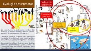 Evolução dos Primatas
Subordem
Haplorrhini
Parvordem
Catarrhini
Família
Hominidae
Os seres humanos pertencem à ordem dos
Primatas, que inclui também Lêmures, Társios,
Macacos, Orangotangos e Chimpanzés.
Dentre os primatas, fazemos parte da Família
Hominidae (Hominídeos), que inclui também
Orangotangos, Gorilas, Chimpanzés e Bonobos.
Dentre os Hominídeos, fazemos parte da tribo
Hominini (Hominíneos), junto com os
Chimpanzés (que são nossos “parentes” vivos
mais próximos).
Tribo
Hominini
 