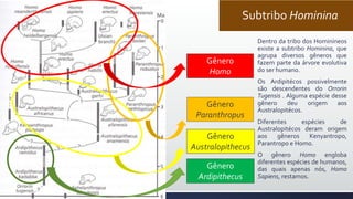 Subtribo Hominina
Dentro da tribo dos Hominíneos
existe a subtribo Hominina, que
agrupa diversos gêneros que
fazem parte da árvore evolutiva
do ser humano.
Os Ardipitécos possivelmente
são descendentes do Orrorin
Tugensis . Alguma espécie desse
gênero deu origem aos
Australopitécos.
Diferentes espécies de
Australopitécos deram origem
aos gêneros Kenyantropo,
Parantropo e Homo.
O gênero Homo engloba
diferentes espécies de humanos,
das quais apenas nós, Homo
Sapiens, restamos.
Gênero
Ardipithecus
Gênero
Australopithecus
Gênero
Paranthropus
Gênero
Homo
 