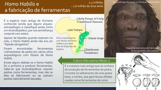 Homo Habilis e
a fabricação de ferramentas
É a espécie mais antiga de Humano
conhecida (ainda que alguns arqueo-
antropólogos o classifique ainda como
um Australopitéco, por sua semelhança
corporal com estes).
Apesar de bípedes quando estavam no
solo, o Homo Habilis ainda não era um
“bípede obrigatório”
Foram encontradas ferramentas
rudimentares de pedra em vários sítios
arqueológicos com fósseis de Homo
Habilis.
Existe algum debate se o Homo Habilis
foi o primeiro a produzir ferramentas.
Sabe-se que Australopitécos usavam
pedras como ferramentas, mas não se
eles as fabricavam ou se usavam
pedras naturalmente lascadas.
É a maneira mais antiga que se conhece
de produção de ferramentas de pedra.
Consiste no talhamento de uma pedra
base, o núcleo, que gera lascas afiadas
usadas como ferramentas de corte.
Cultura Olduvaiense (Modo 1)
Reconstrução facial de um fóssil de Homo Habilis
Esquema explicativo da fabricação
de ferramentas olduvaienses.
Sítios arqueológicos
com fósseis de Homo
Habilis e provável
área de dispersão da
espécie.
2.5 milhões
– 1.6 milhão de anos atrás
 