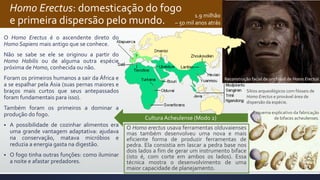 Cultura Acheulense (Modo 2)
Homo Erectus: domesticação do fogo
e primeira dispersão pelo mundo.
O Homo Erectus é o ascendente direto do
Homo Sapiens mais antigo que se conhece.
Não se sabe se ele se originou a partir do
Homo Habilis ou de alguma outra espécie
próxima de Homo, conhecida ou não.
Foram os primeiros humanos a sair da África e
a se espalhar pela Ásia (suas pernas maiores e
braços mais curtos que seus antepassados
foram fundamentais para isso).
Também foram os primeiros a dominar a
produção do fogo.
 A possibilidade de cozinhar alimentos era
uma grande vantagem adaptativa: ajudava
na conservação, matava micróbios e
reduzia a energia gasta na digestão.
 O fogo tinha outras funções: como iluminar
a noite e afastar predadores.
O Homo erectus usava ferramentas olduvaienses
mas também desenvolveu uma nova e mais
eficiente forma de produzir ferramentas de
pedra. Ela consistia em lascar a pedra base nos
dois lados a fim de gerar um instrumento biface
(isto é, com corte em ambos os lados). Essa
técnica mostra o desenvolvimento de uma
maior capacidade de planejamento.
Sítios arqueológicos com fósseis de
Homo Erectus e provável área de
dispersão da espécie.
Reconstrução facial de um fóssil de Homo Erectus
Esquema explicativo da fabricação
de bifaces acheulenses.
1.9 milhão
– 50 mil anos atrás
 