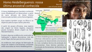 Homo Heidelberguensis: nossa
última ancestral conhecida
O Homo Heidelbergensis (também conhecido
como Rhodesiensis) se desenvolveu a partir
do ramo africano do Homo Erectus
(mencionado também como Homo Ergaster).
Essa espécie também surgiu na África e se
dispersou pela Europa e talvez pela Ásia.
A partir de grupos africanos, essa espécie
deu origem ao Homo Sapiens, enquanto
grupos europeus deram origem ao Homo
Neanderthalensis.
Existem algumas evidência de construção de
habitações e objetos decorativos, mas são
ainda frágeis demais para termos certeza.
As evidências mais antigas da fabricação de
lanças de madeira e ferramentas compostas
estão associadas ao Homo Heidelberguensis.
Sítios arqueológicos com fósseis de
Homo Heidelberguensis e provável
área de dispersão da espécie.
Reconstrução facial de um fóssil de Homo Heidelberguensis
Cultura Musteriense (Modo 3)
O Homo heidelberguensis utilizava tanto as
técnicas olduvaiense quanto acheulense,
mas parece ter desenvolvido uma terceira
e mais complexa técnica de produção de
ferramentas. Essa técnica permitia a
produção de ferramentas de formas mais
variadas.
800 mil
– 200 mil anos atrás
 
