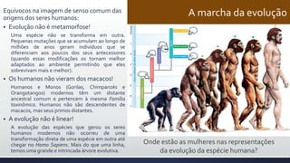 A marcha da evoluçãoEquívocos na imagem de senso comum das
origens dos seres humanos:
 Evolução não é metamorfose!
Uma espécie não se transforma em outra.
Pequenas mutações que se acumulam ao longo de
milhões de anos geram indivíduos que se
diferenciam aos poucos dos seus antecessores
(quando essas modificações os tornam melhor
adaptados ao ambiente permitindo que eles
sobrevivam mais e melhor).
 Os humanos não vieram dos macacos!
Humanos e Monos (Gorilas, Chimpanzés e
Orangotangos) modernos têm um distante
ancestral comum e pertencem à mesma Família
taxinômica. Humanos não são descendentes de
macacos, mas seus primos distantes.
 A evolução não é linear!
A evolução das espécies que gerou os seres
humanos modernos não ocorreu de uma
transformação direta de uma espécie em outra até
chegar no Homo Sapiens. Mais do que uma linha,
temos uma grande e intrincada árvore evolutiva.
Onde estão as mulheres nas representações
da evolução da espécie humana?
 