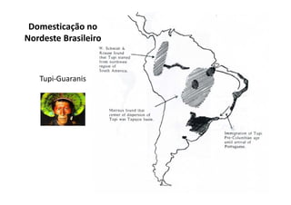 Domesticação no 
Nordeste Brasileiro 
Tupi-Guaranis 
 