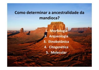 Como determinar a ancestralidade da 
mandioca? 
1. Morfologia 
22.. AArrqquueeoollooggiiaa 
3. Etnobotânica 
4. Citogenética 
5. Molecular 
 