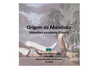 Origem da Mandioca 
(Manihot eessccuulleennttaa CCrraannttzz)) 
Universidade de Brasília 
PPG-BOT 
Aluna: Danielle Hashimoto 
1º/2010 
 