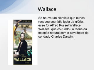Wallace
Se houve um cientista que nunca
recebeu sua fatia justa da glória,
esse foi Alfred Russel Wallace.
Wallace, que co-fundou a teoria da
seleção natural com o cavalheiro de
condado Charles Darwin,.
 