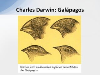 Charles Darwin: Galápagos
 