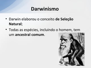 Darwinismo
• Darwin elaborou o conceito de Seleção
Natural;
• Todas as espécies, incluindo o homem, tem
um ancestral comum.
 