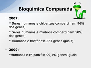 • 2007:2007:
* Seres humanos e chipanzés compartilham 96%* Seres humanos e chipanzés compartilham 96%
dos genes;dos genes;
* Seres humanos e minhoca compartilham 50%* Seres humanos e minhoca compartilham 50%
dos genes;dos genes;
* Humanos e bactérias: 223 genes iguais;* Humanos e bactérias: 223 genes iguais;
• 2009:2009:
*Humanos e chipanzés: 99,4% genes iguais.*Humanos e chipanzés: 99,4% genes iguais.
Bioquímica Comparada
 