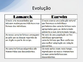 Evolução
 