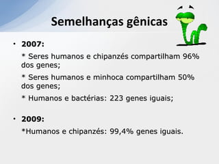 • 2007:2007:
* Seres humanos e chipanzés compartilham 96%* Seres humanos e chipanzés compartilham 96%
dos genes;dos genes;
* Seres humanos e minhoca compartilham 50%* Seres humanos e minhoca compartilham 50%
dos genes;dos genes;
* Humanos e bactérias: 223 genes iguais;* Humanos e bactérias: 223 genes iguais;
• 2009:2009:
*Humanos e chipanzés: 99,4% genes iguais.*Humanos e chipanzés: 99,4% genes iguais.
Semelhanças gênicas
 