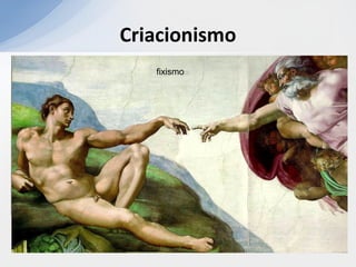 Criacionismo
fixismo
 