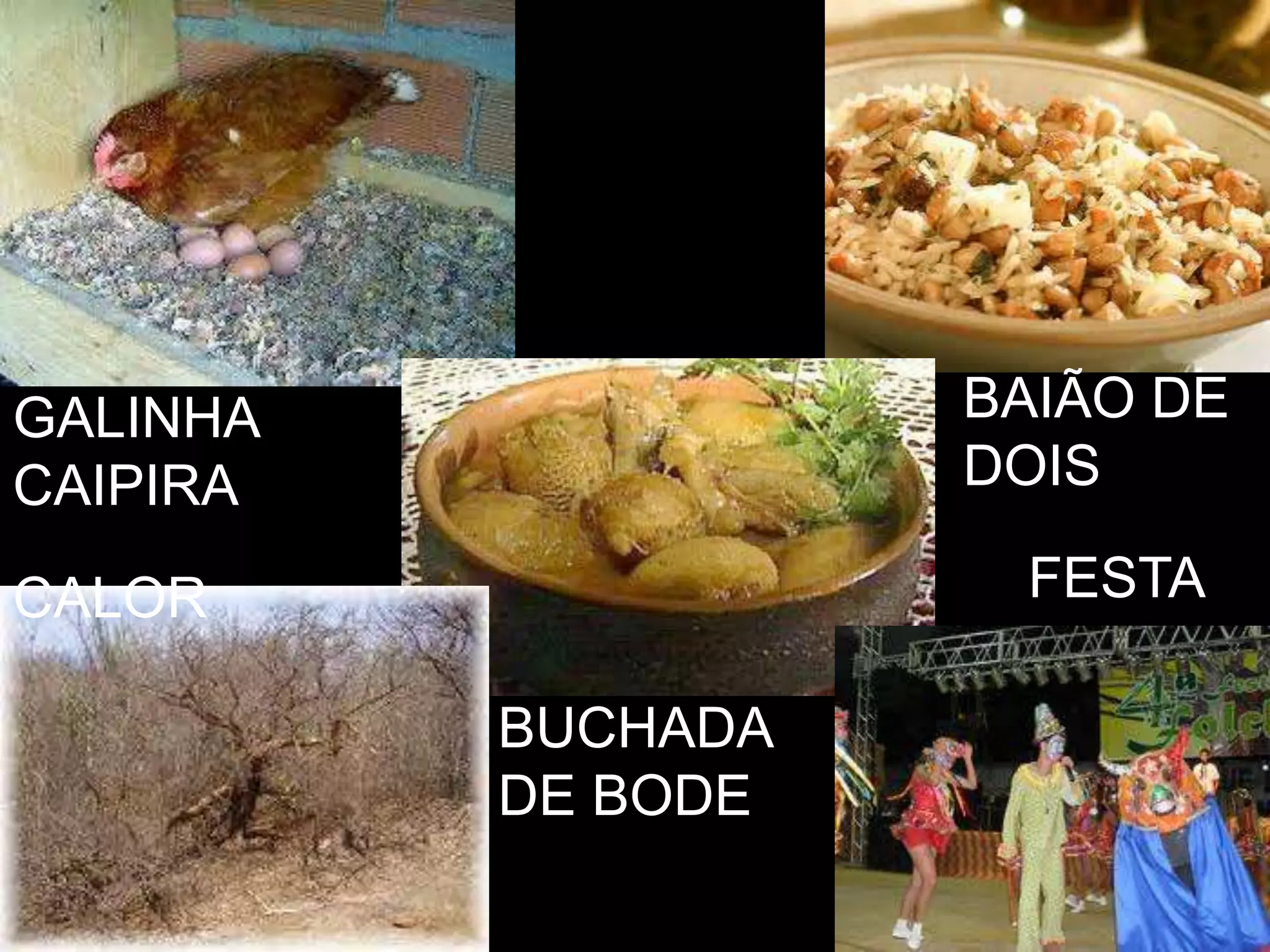 GALINHA BAIÃO DE
CAIPIRA DOIS
CALOR FESTA
BUCHADA
DE BODE