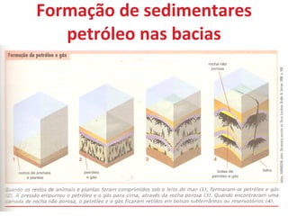 Formação de sedimentares petróleo nas bacias 