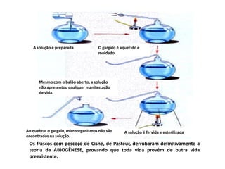 Origem da vidaEm fins do século XVIII: descoberta do gás oxigênio e seu papel essencial à vidaNovo ponto de apoio para os abiogenistas, que argumentavam que o aquecimento prolongado e a vedação hermética excluíam o oxigênio necessário à geração espontânea e à sobrevivência dos seres.