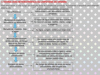 Queda da abiogêneseLouis Pasteur(1822-1895)Os frascos com pescoço de cisne: novo experimentoPasteur amoleceu os gargalos no fogo, esticando-os e curvando-os em forma de pescoço de cisne; em seguida ferveu os caldos até que saísse vapor pela extremidade dos gargalosÀ medida que esfriava, o ar penetrava pelo gargalo, mas as partículas do ar ficavam retidas nas paredes do gargalo em forma de pescoço; Nenhum frasco se contaminouDerrubada definitiva da hipótese da geração espontânea